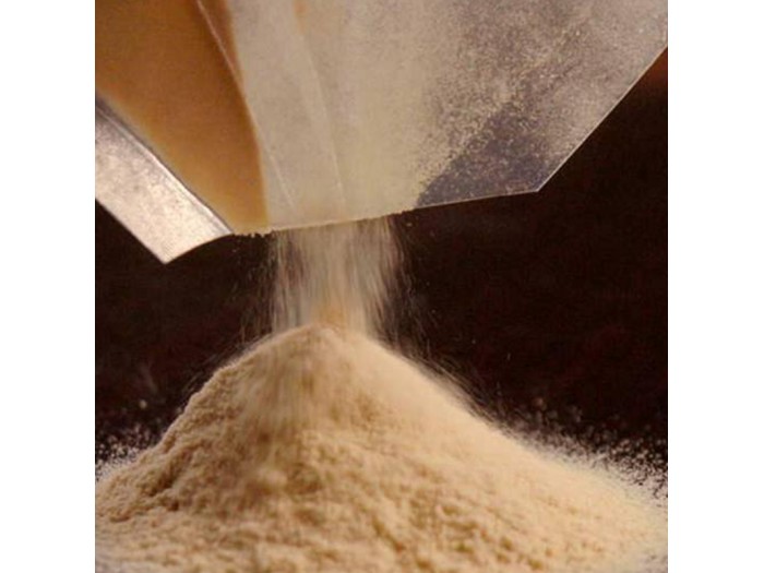 Dried Malt Extract